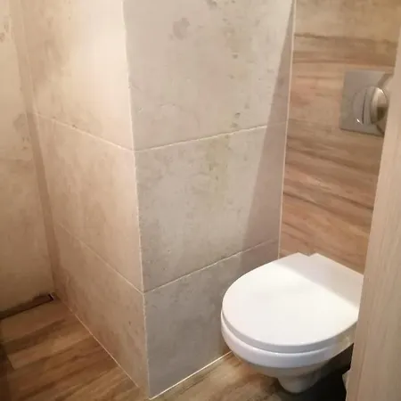 Willa Aleksandria Konopiska