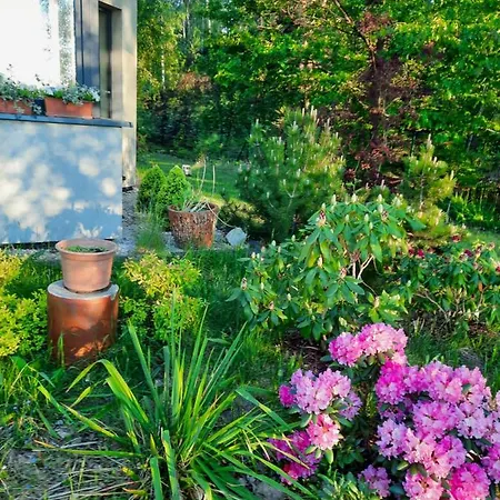 Willa Aleksandria * Konopiska