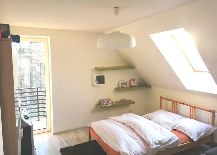 Villa Willa Aleksandria *