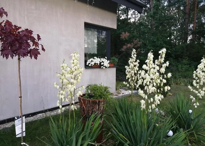 Villa Willa Aleksandria Konopiska