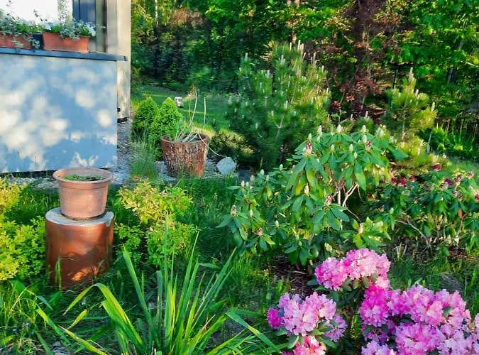 Willa Aleksandria * Konopiska