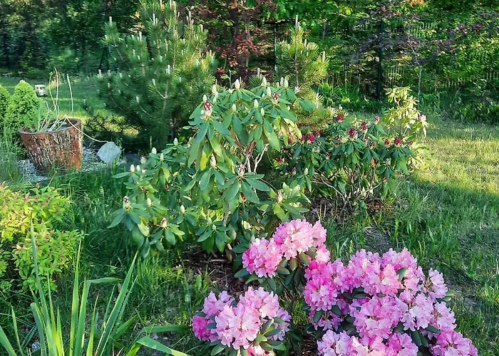 Villa Willa Aleksandria Konopiska